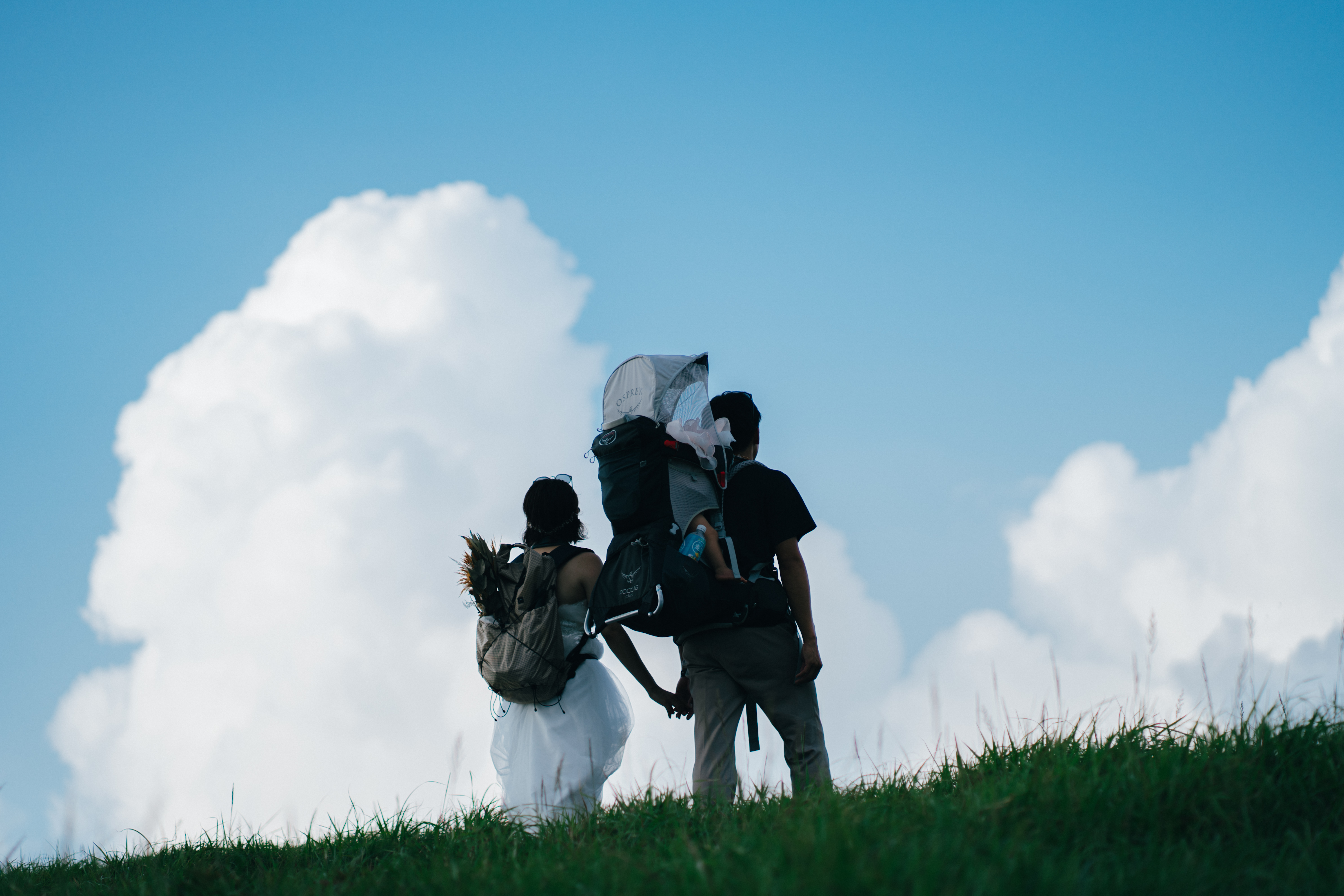 コンセプト画像